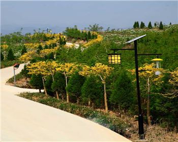 甘肅省隴南市文縣太陽能殺蟲燈項目