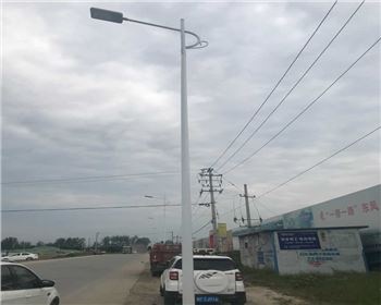 陜西漢中市城固縣上元觀街道路燈照明項(xiàng)目
